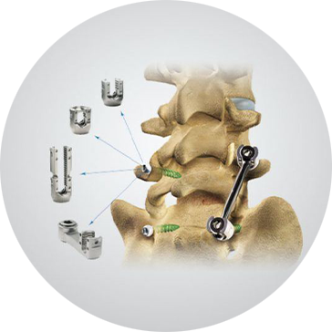 Empresas Representadas