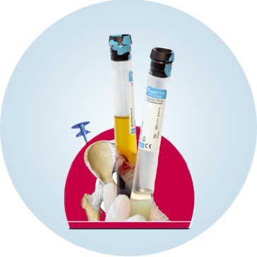 Empresas Representadas