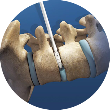 Empresas Representadas