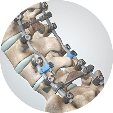 Empresas Representadas